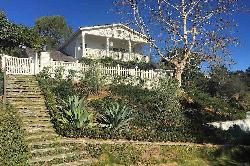 thurston-area-46339