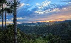 tierra-verde-12558