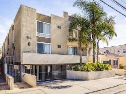 van-ness-grove-31601