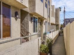 van-ness-grove-31611