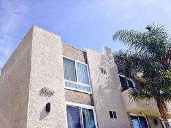 van-ness-grove-31612