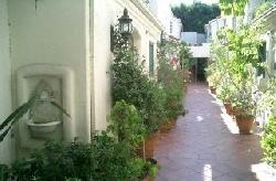 villa-flores-2078