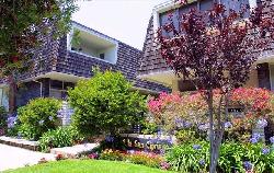 villa-san-cipriano-3532