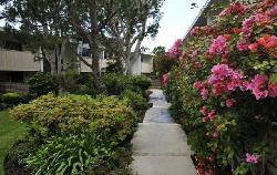 villa-san-tropez-14045