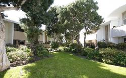 villa-san-tropez-3553