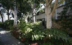 villa-san-tropez-3554