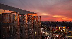 vinz-on-fairfax-31167