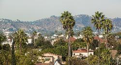 vinz-on-fairfax-31176