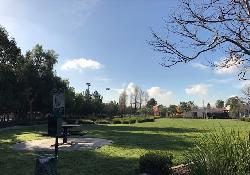 vista-del-sol-44850