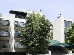 vista-larrabee-6696