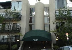vista-larrabee-6697