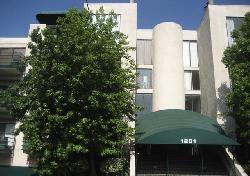vista-larrabee-6698