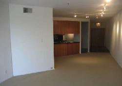 vista-larrabee-6702