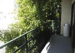 vista-larrabee-6704