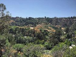 wallingford-estates-46518