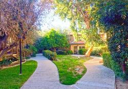 walnut-gardens-50966