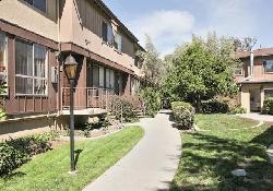 walnut-gardens-50969