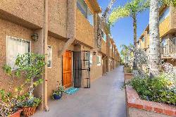 washington-village-41342