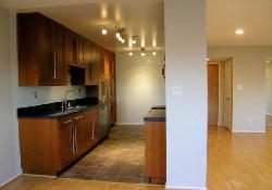 waverly-terrace-27239