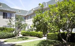 westmoreland-courtyard-30833