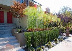 westmount-townhomes-22650