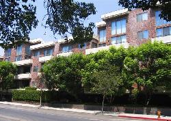 westwood-ambassador-6720