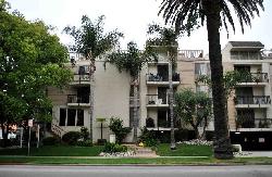 westwood-arbor-7379