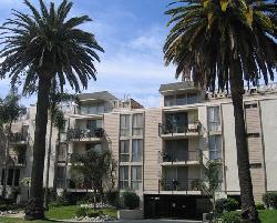westwood-arbor-7382
