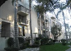 westwood-arbor-7383