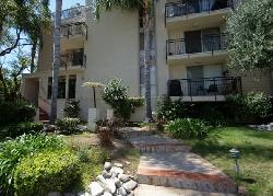 westwood-arbor-7384