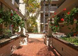 westwood-arbor-7386