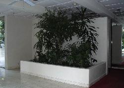 westwood-gardens-condos-7845
