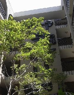 westwood-gardens-condos-7847