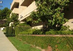 wetherly-terrace-12911