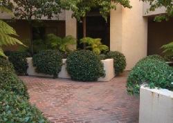 wetherly-terrace-12913