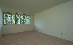 wetherly-terrace-12921