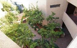 wetherly-terrace-12927