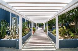 white-oak-encino-49413