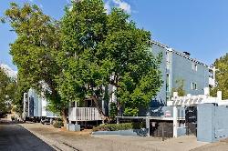white-oak-encino-49416