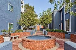 white-oak-encino-49417