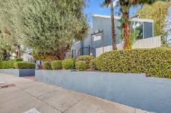 white-oak-encino-49428