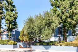 white-oak-encino-49429