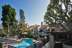 whitley-townhomes-24195