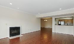 wilton-plaza-23576