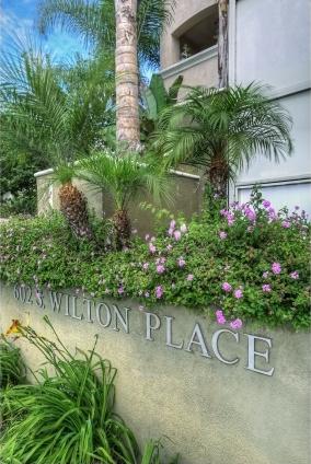 wilton-plaza-23578