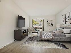zen-hollywood-43505